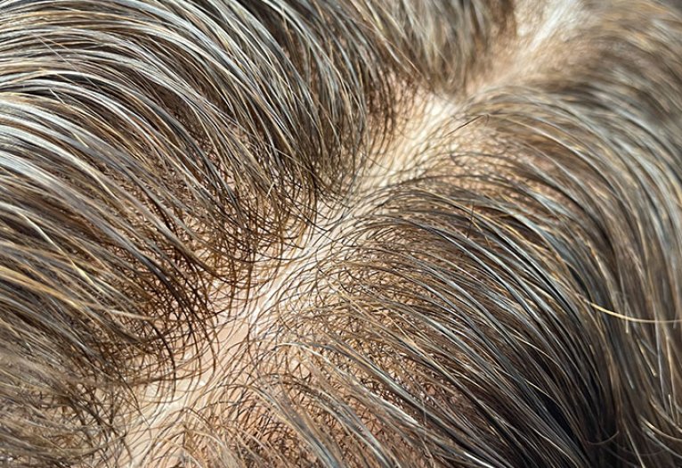 Guaranteed & Consistent Quality 